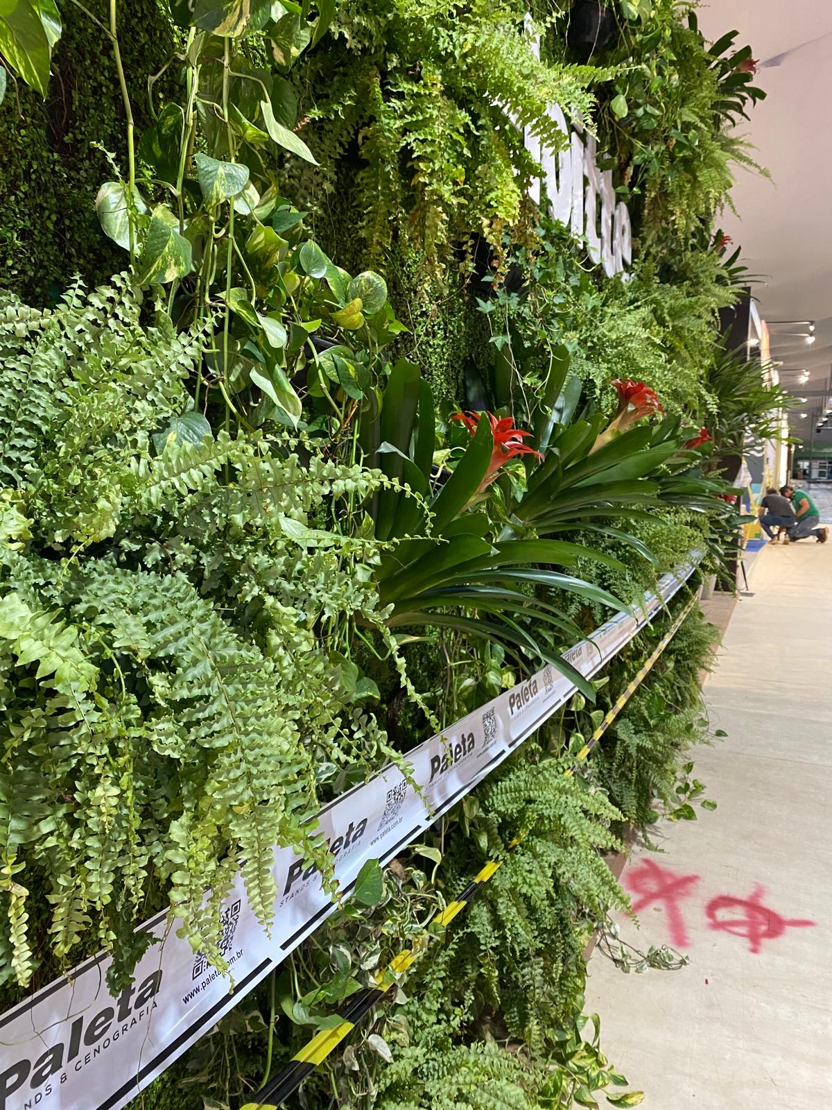 Brazil’s upcoming UN climate summit highlights how tricky climate pledges are to keep