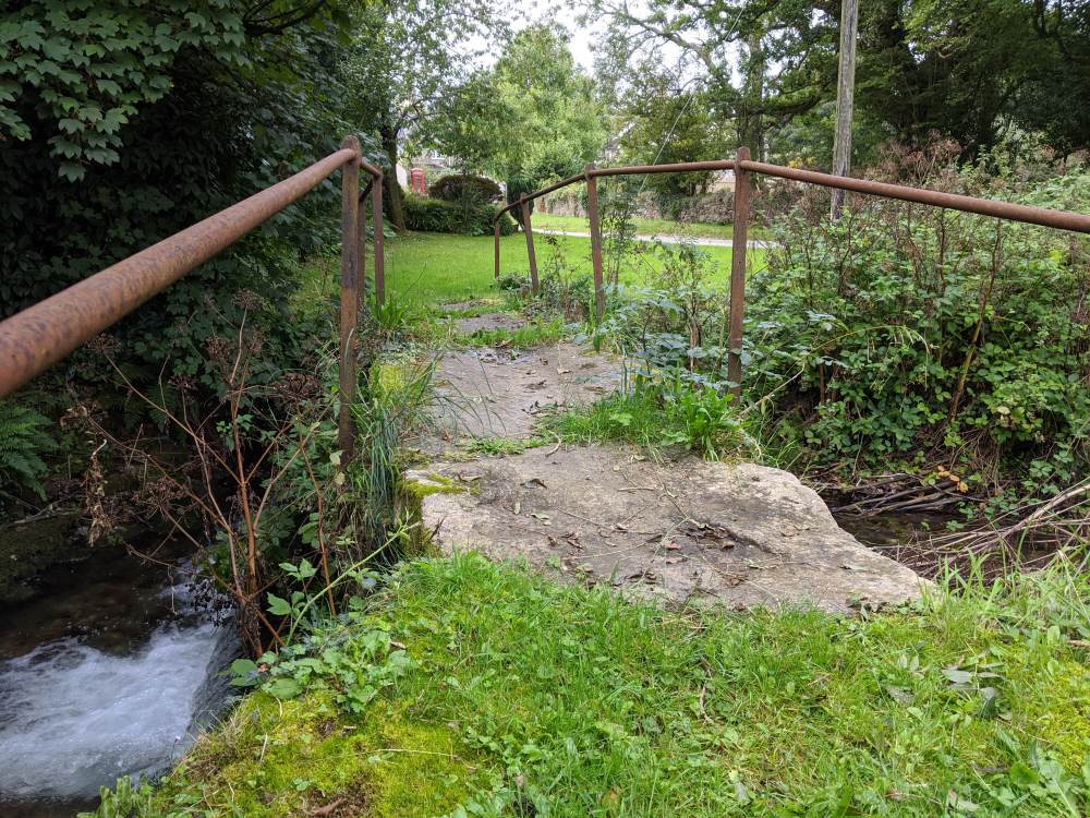 Compreendendo a desterritorialização ao aprender a reflorestar nossas mentes  